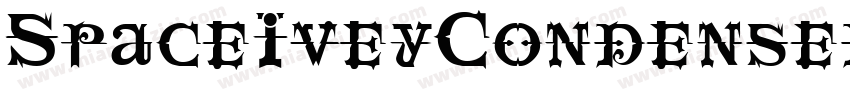 SpaceIveyCondensed Italic字体转换